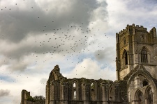 Fountains Abbey And Birds