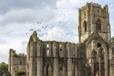 Fountains Abbey And Birds