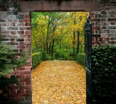 Gate To Autumn Garden