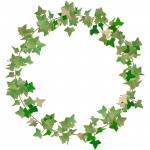 Green Wreath