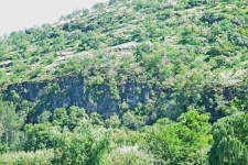 Hill With Cliff Covered With Trees