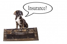 Insurance Background With Dog
