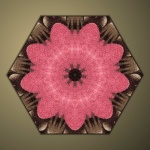 Mandala Flower (7)