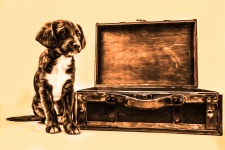 Oil Painting Puppy With Suitcase