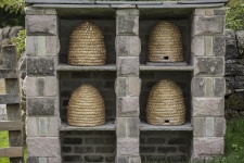 Old Straw Bee Hive Cutout