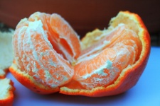 Open Tangerine