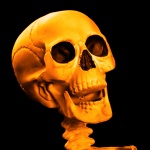 Orange Halloween Skull
