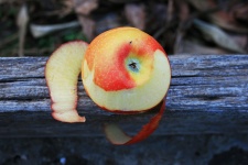 Peeled Apple 2