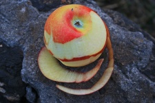 Peeled Apple 3