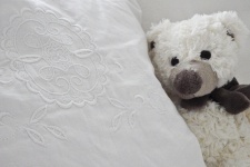 Plush Teddy Bear With Pillow
