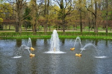 Pond With Fountains