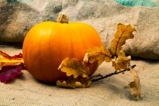 Pumpkin And Leaves