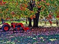 Red Tractor Under Autumn Tree