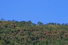 Ridge With Rocks And Trees