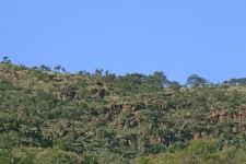 Ridge With Sky And Trees
