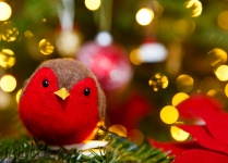Robin On A Christmas Tree
