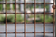 Rusty Wire Fence