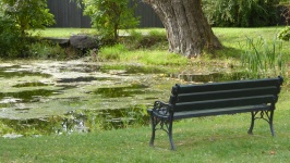 Seat By The Pond