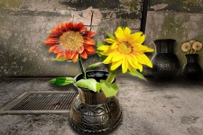 Still Life Sunflowers