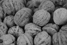 Pile Of Walnuts
