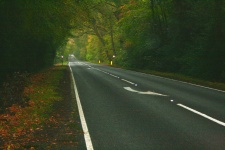 The Straight Mile In Autumn