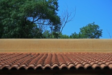 Tile Roof With Trees