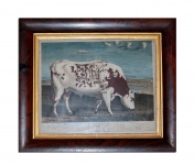 Vintage Painting Of Bull