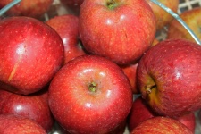 Washed Red Apples