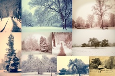 Winter Seasons