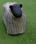 Wooden Ewe