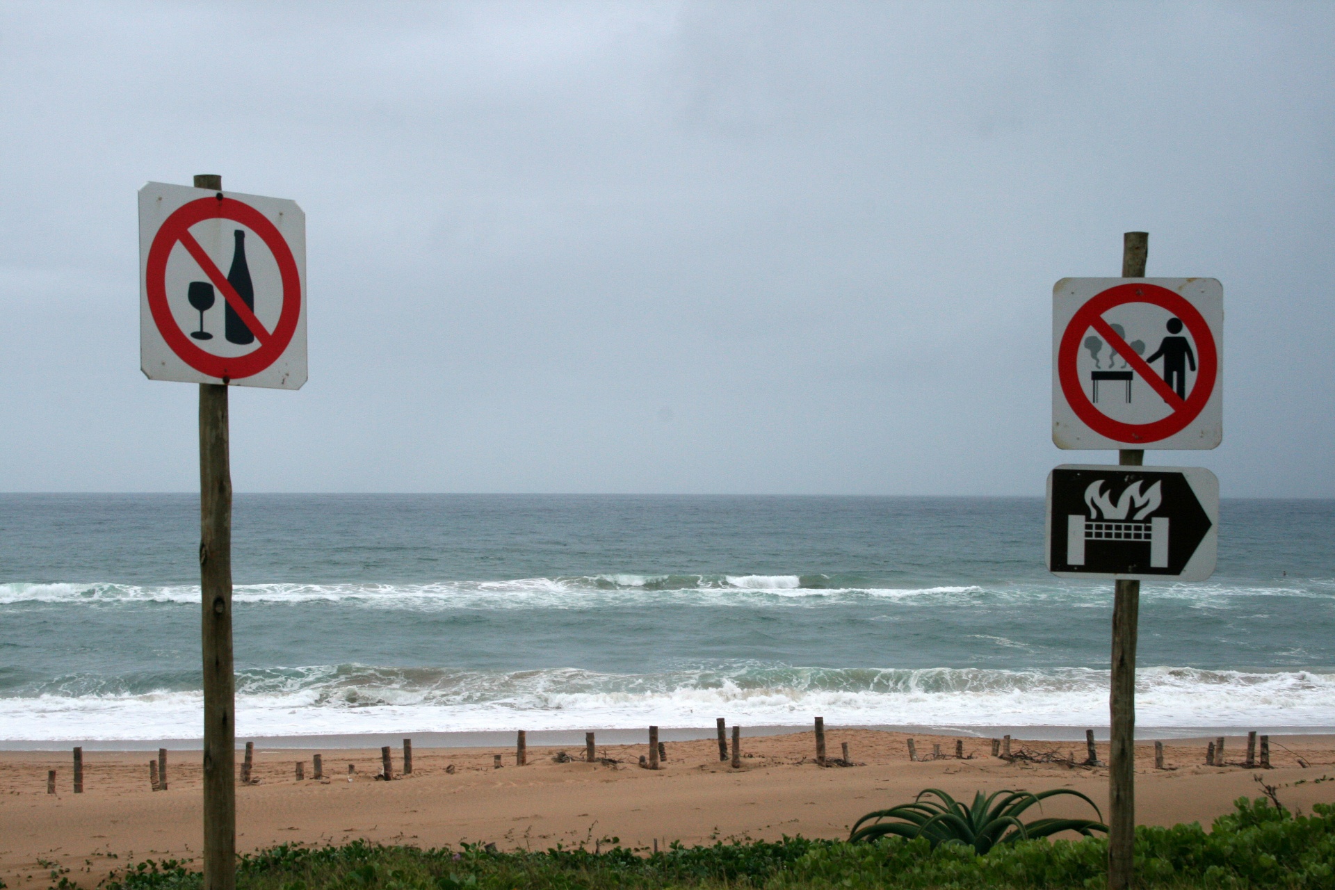 Beachgoer Signs