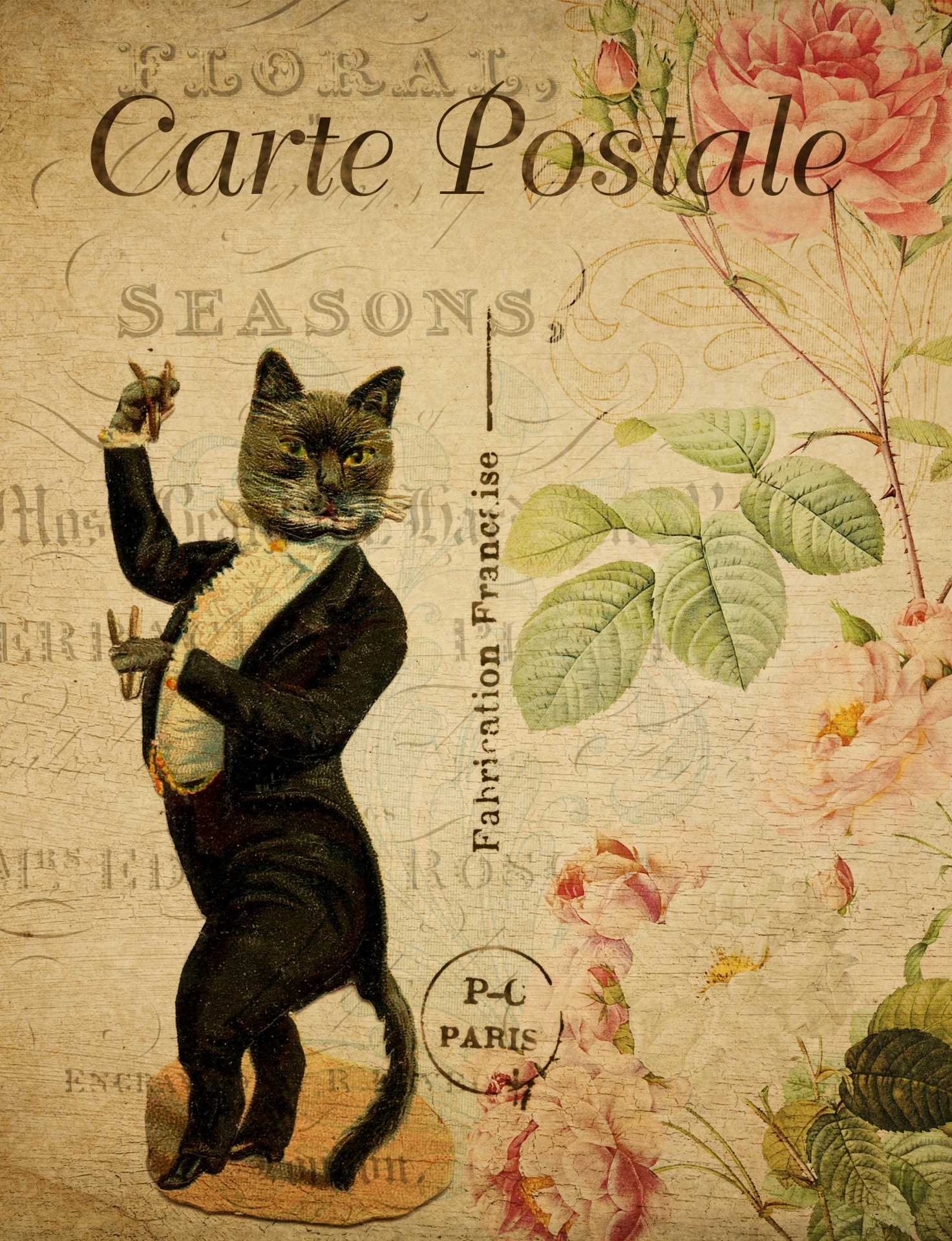 Dancing cat dressed in tuxedo on vintage floral french postcard
