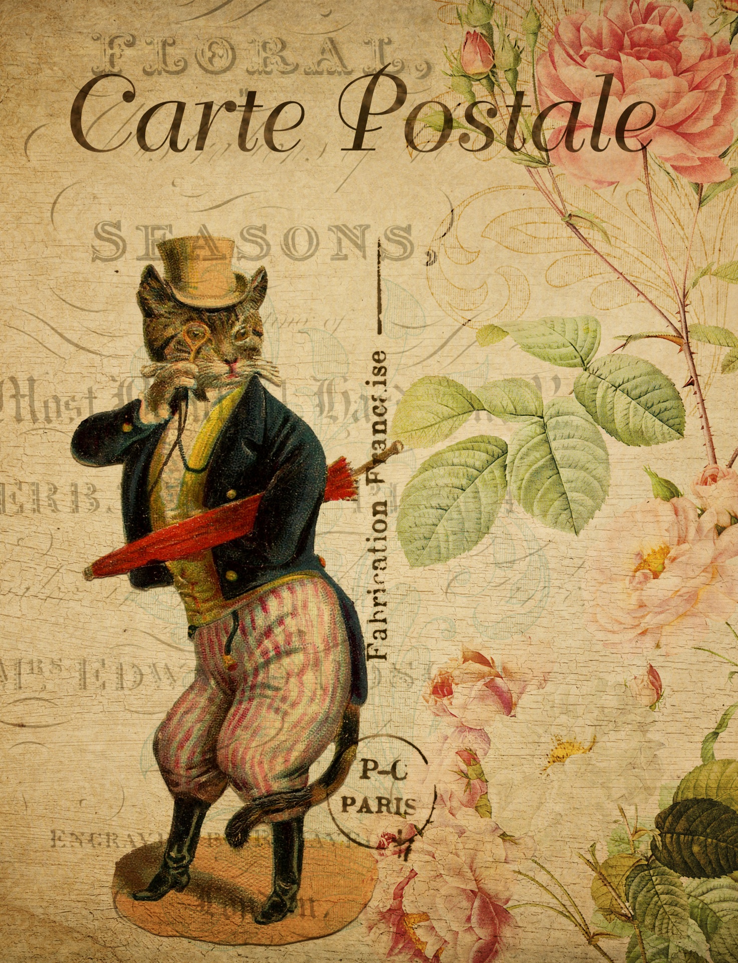 Dressed cat on vintage floral french postcard