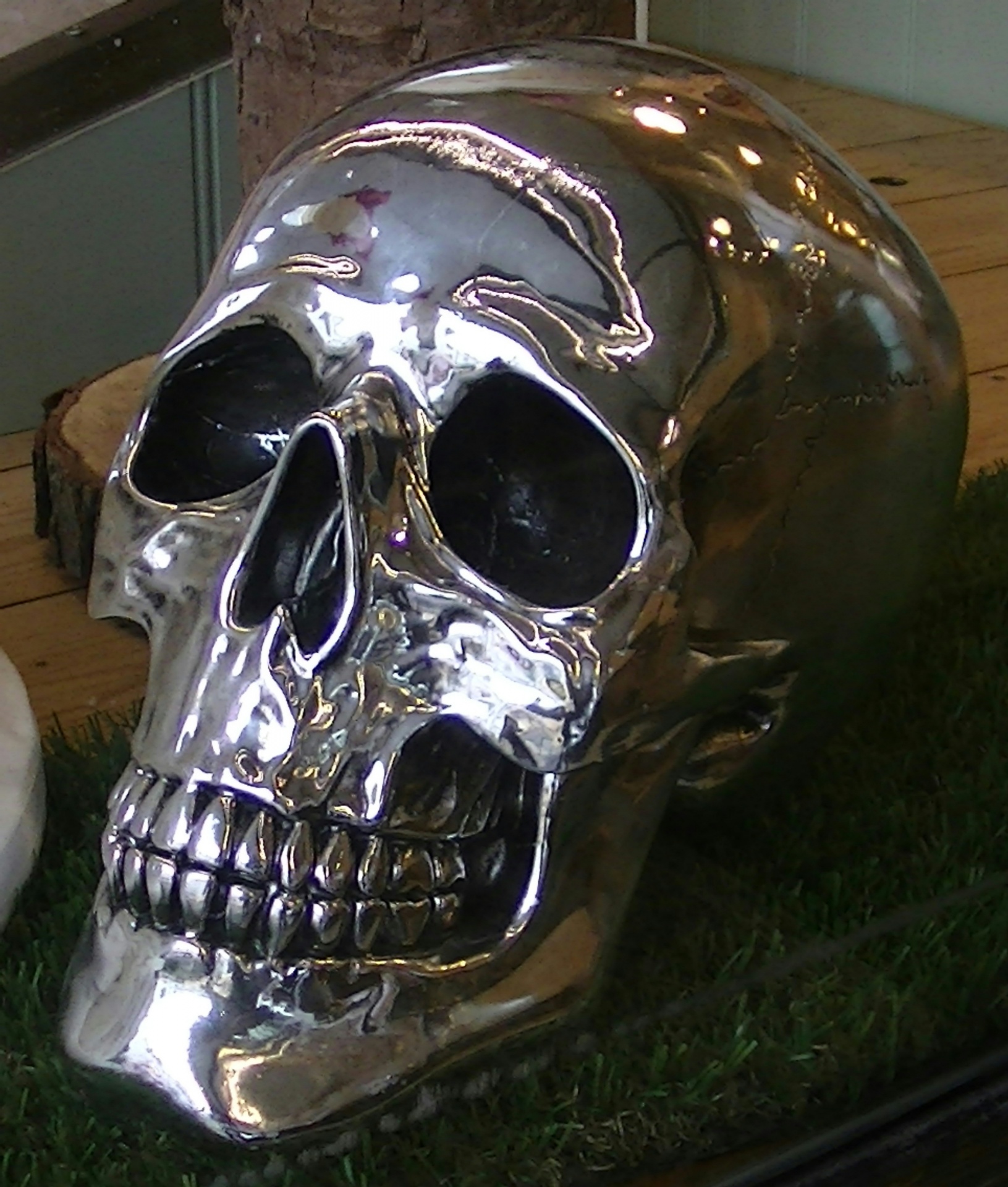 Chrome Skeleton Skull