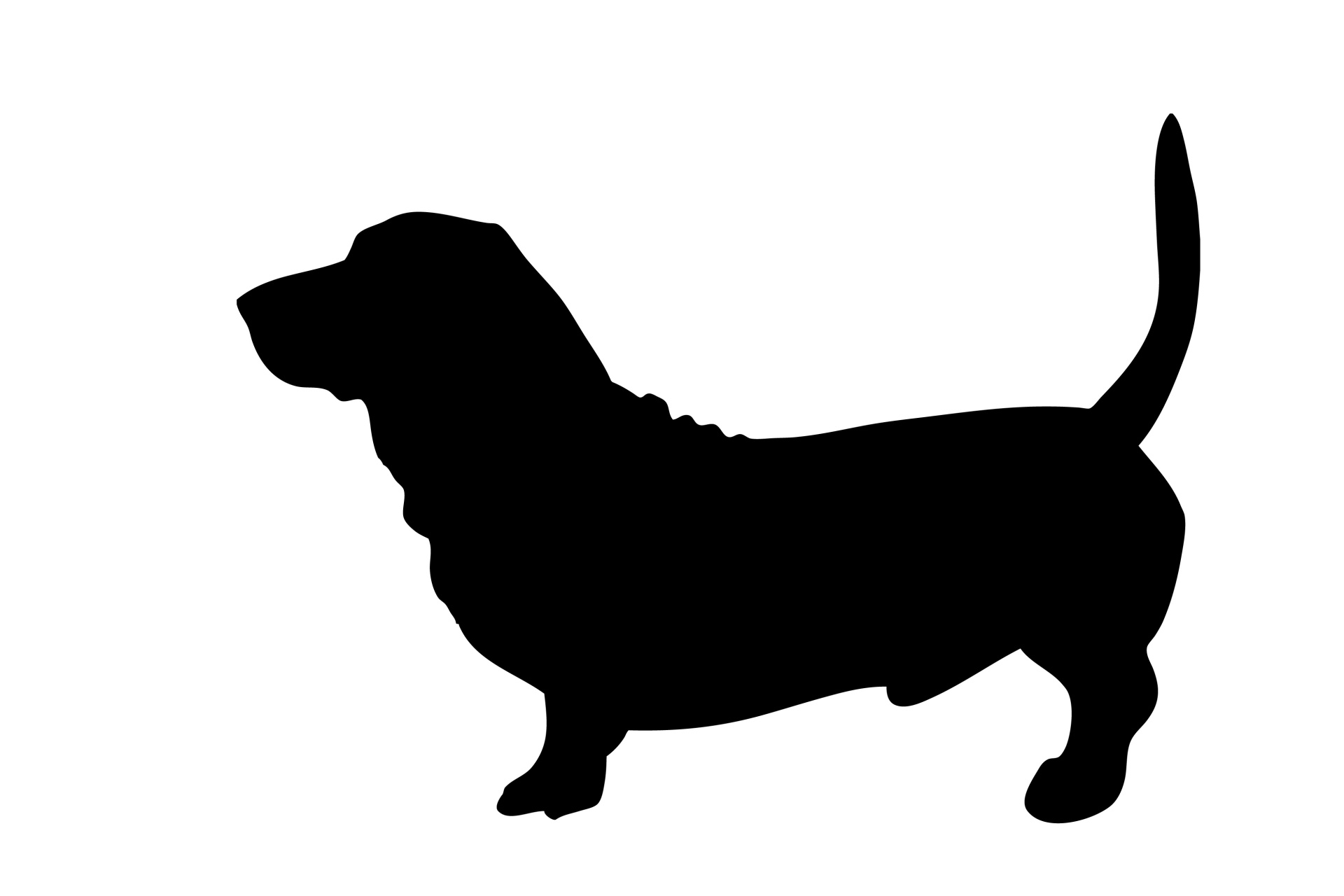 Dog, Basset Black Silhouette