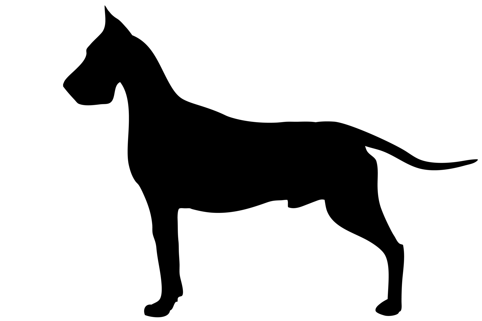 Dog, Great Dane Black Silhouette