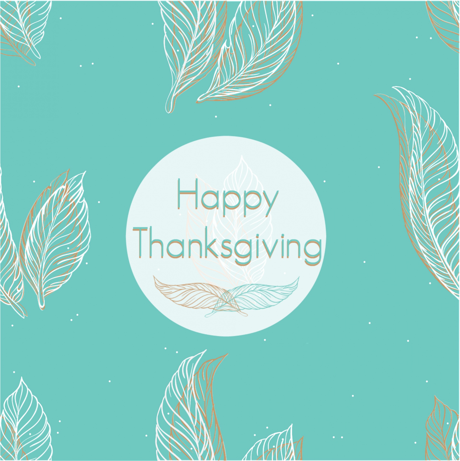 Happy Thanksgiving E Card