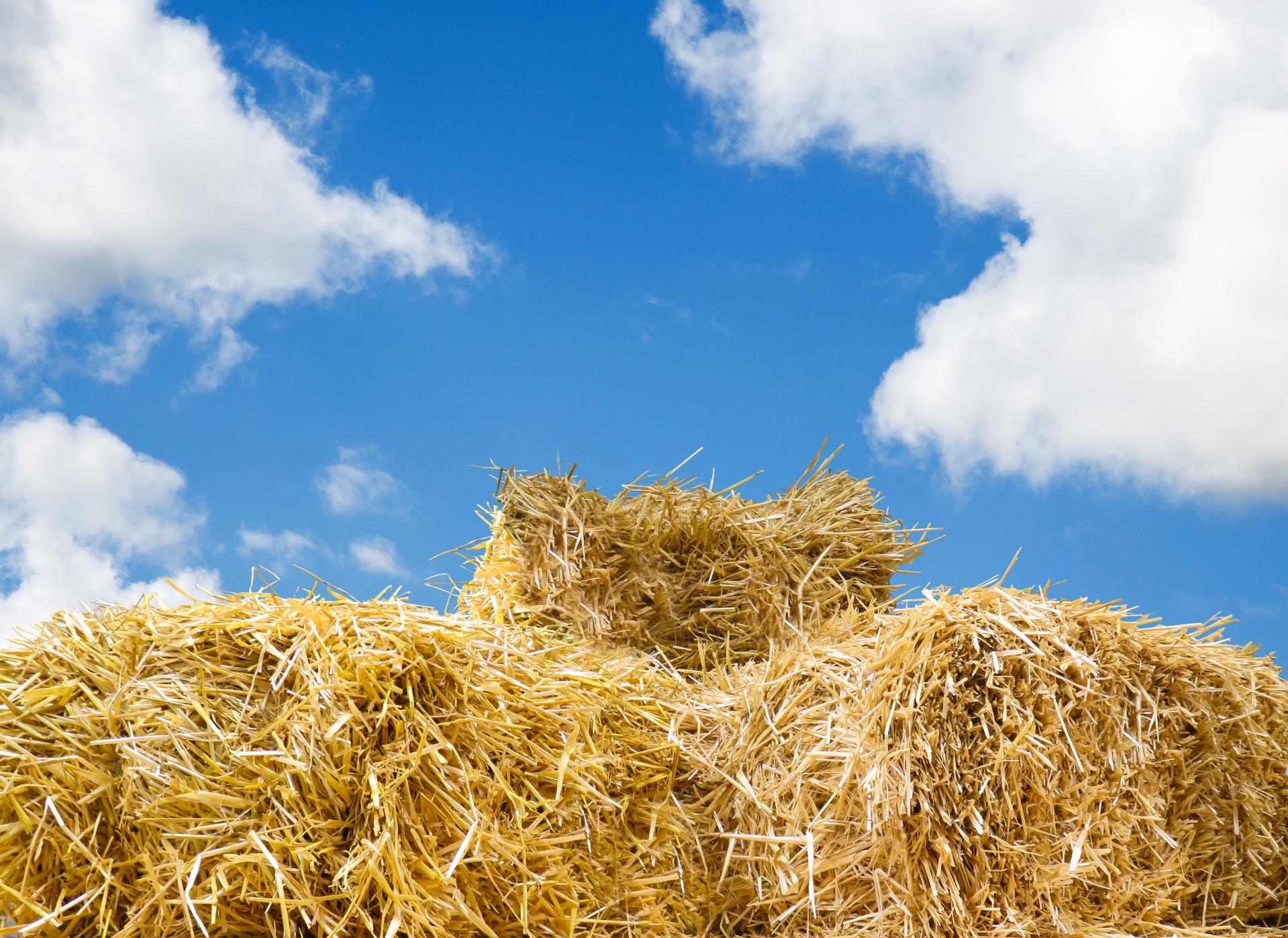 Hay bales against blue sky and white clouds