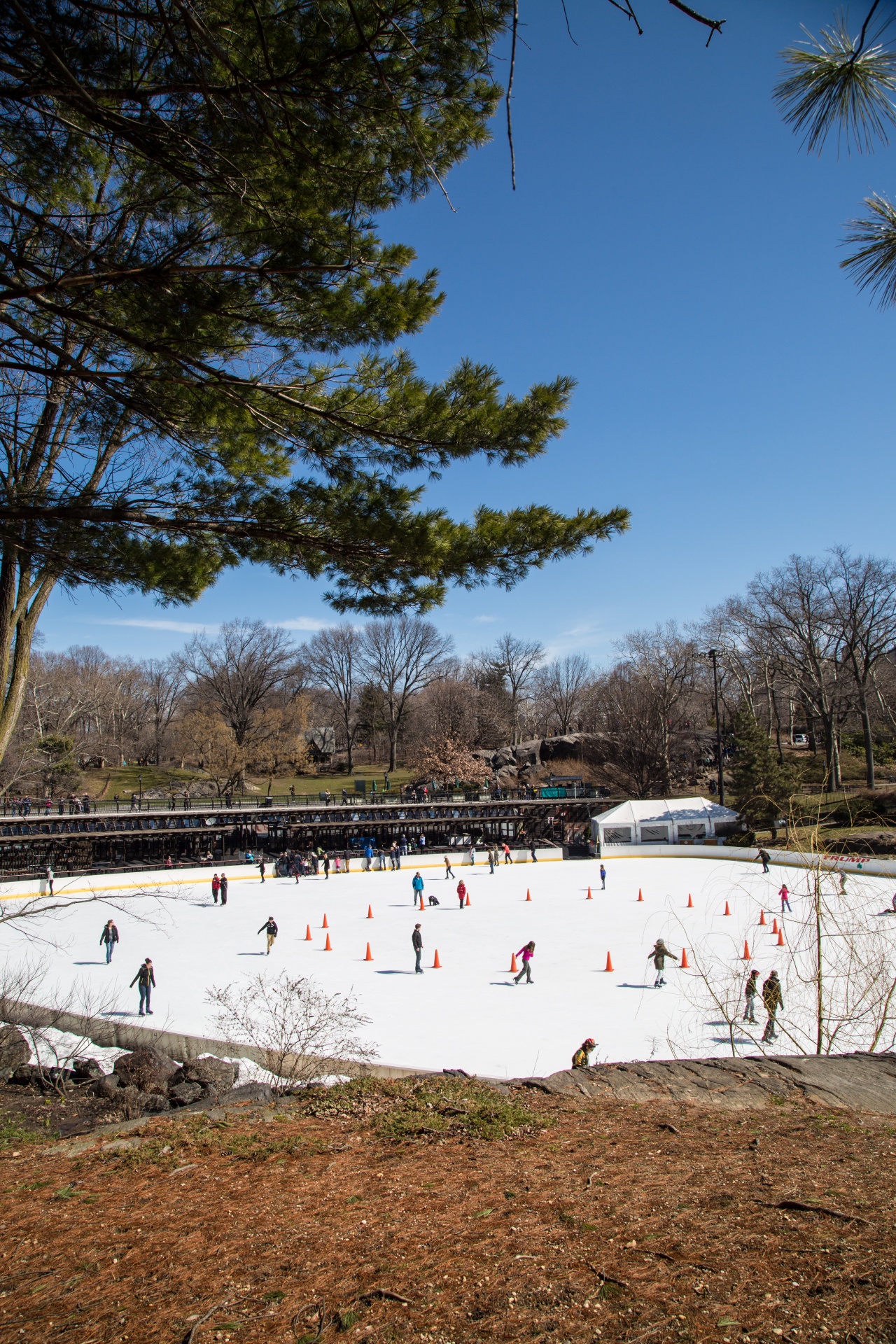 New York's famous Wollman Ice Rink in Central Park is operated by the Trump organization and opened in 1949, November 13th, 2011.