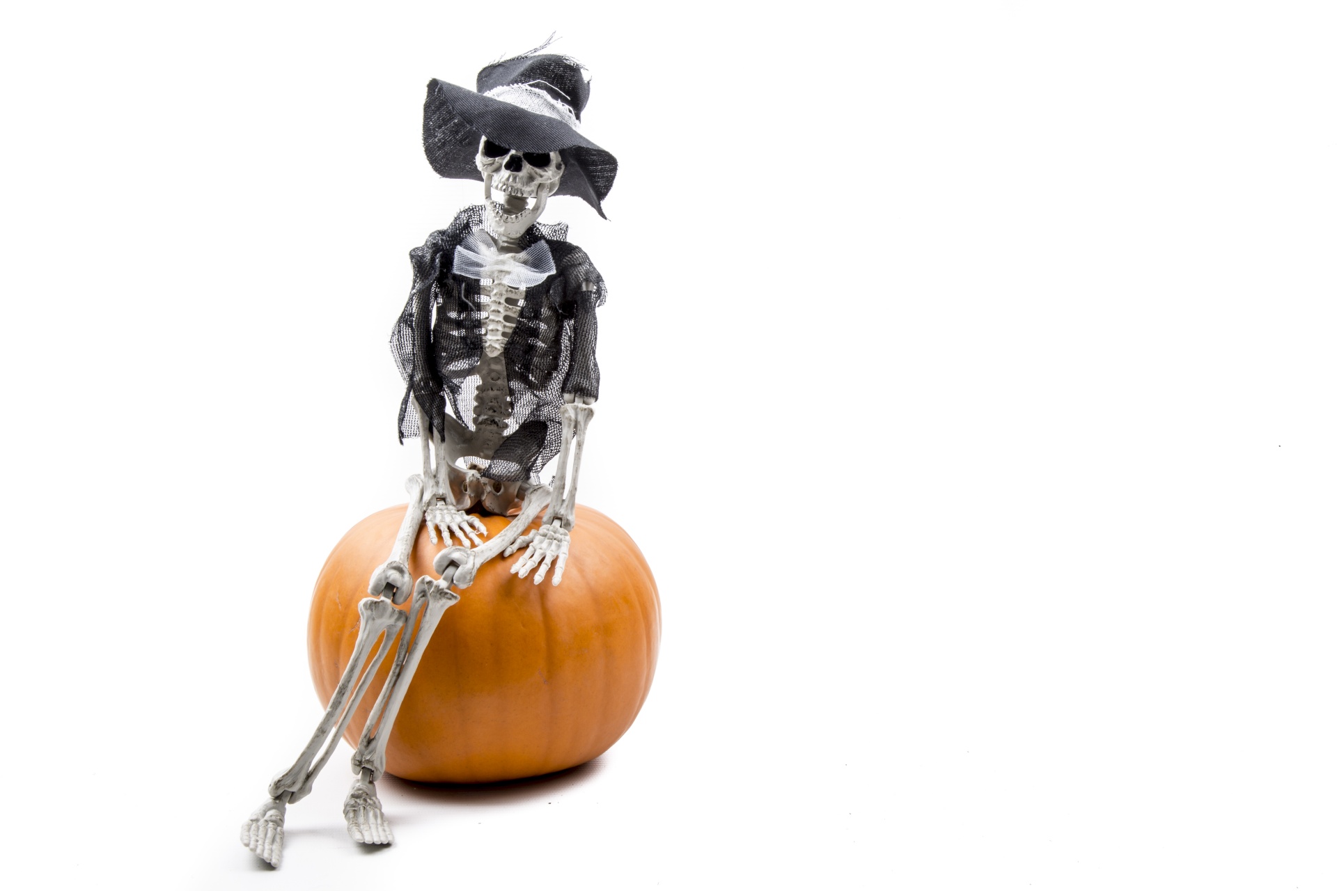 Halloween Pumpkin And Skeleton Isolated on the white Background