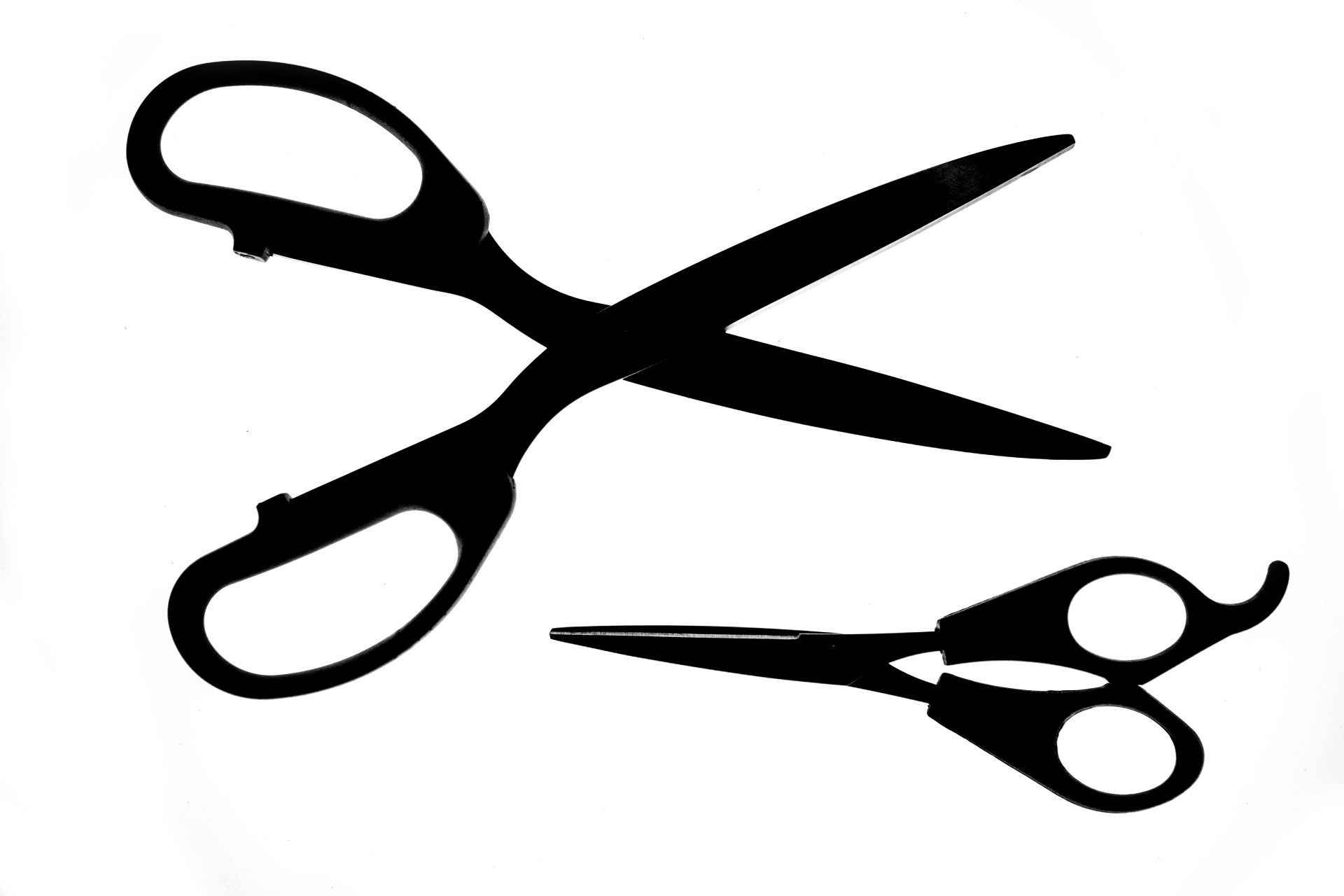 Scissors Silhouette On The White Background