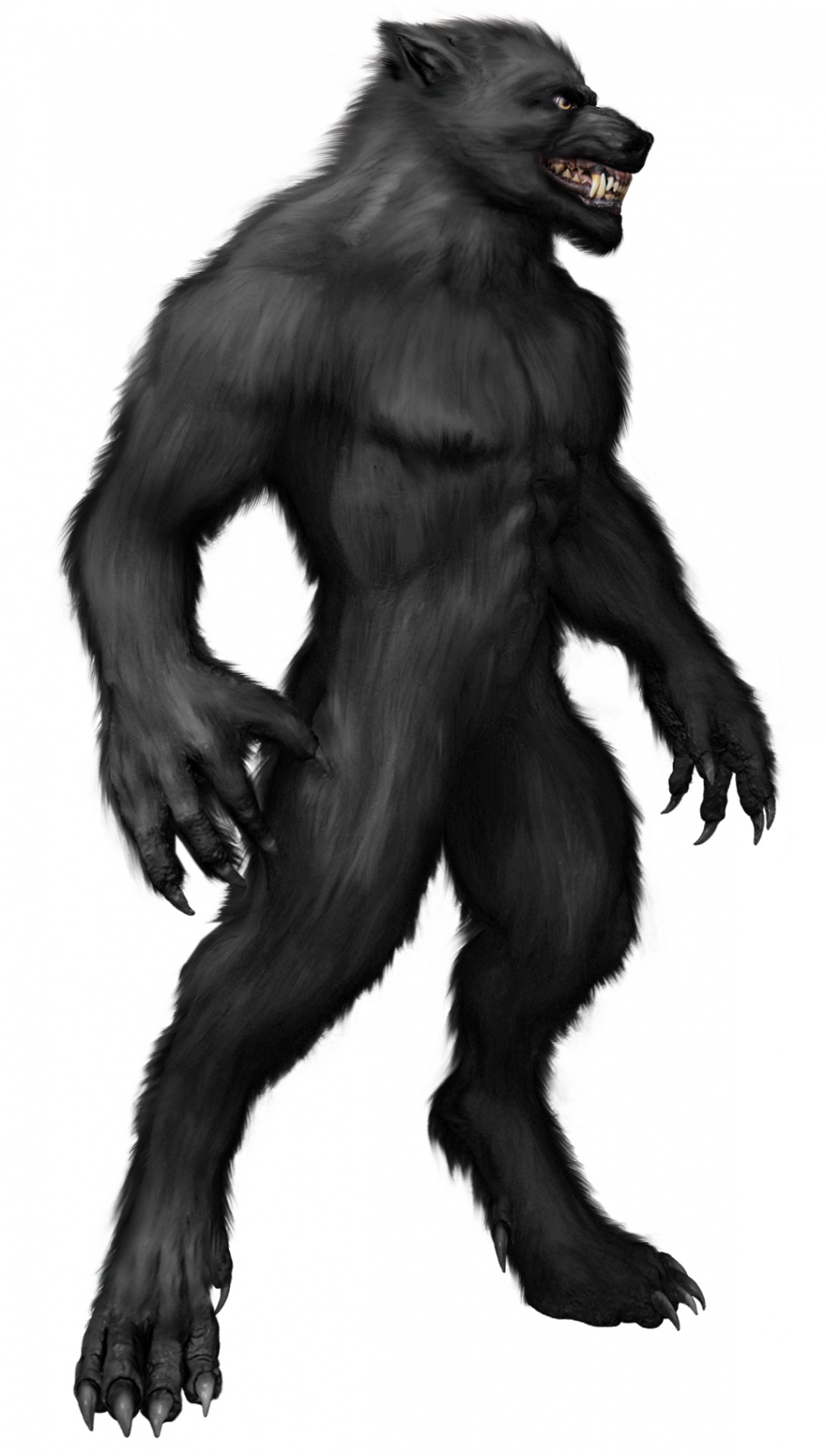 A ferocious werewolf standing and snarling