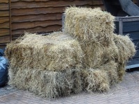 Bales Of Hay
