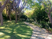 Stone Path In Green Garden