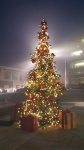 Christmas Tree Illuminated