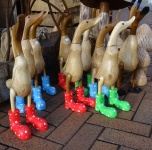 Ducks In Wellington Boots
