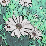 Flowers Abstract (6)