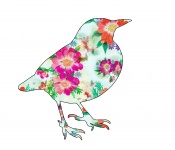 Floral Bird Isolated