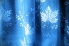 Floral Curtain 1