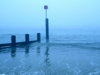 Foggy Morning Ocean Beach
